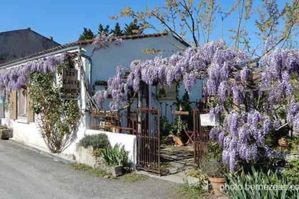 Maison Coquelicots - 4 Personnes - Jardin Mornac-sur-Seudre エクステリア 写真